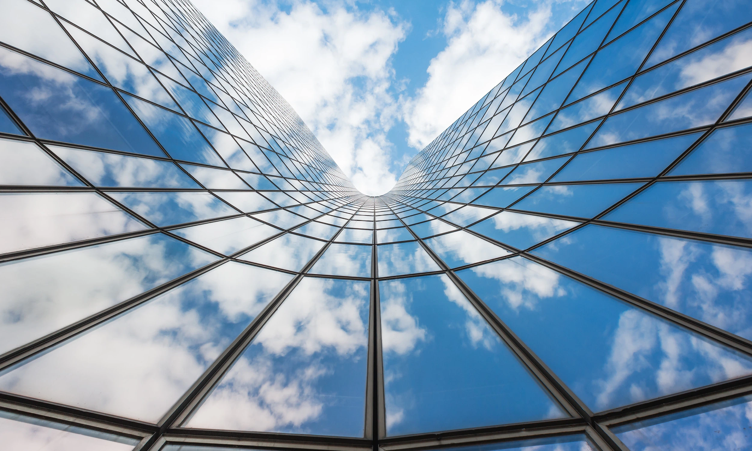 Reflections on the Year: Embracing core values for sustainable success