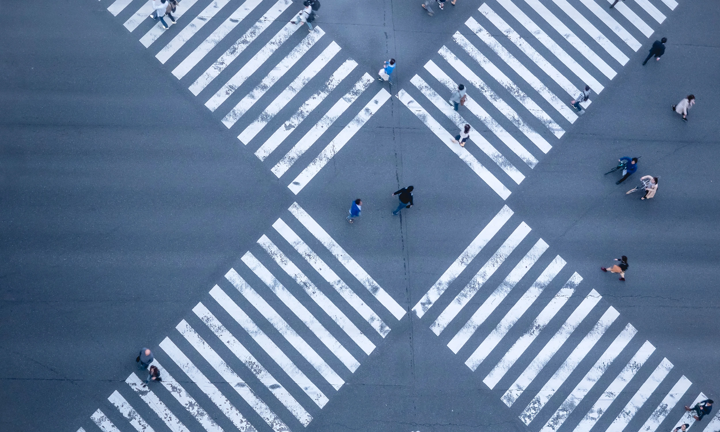 The symbiotic relationship between EX & CX