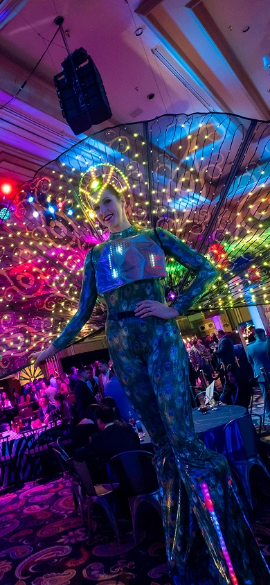 Performer on stage at the Gulf States Toyota Cash Bash event